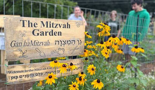 Banner Image for Mitzvah Garden Workday